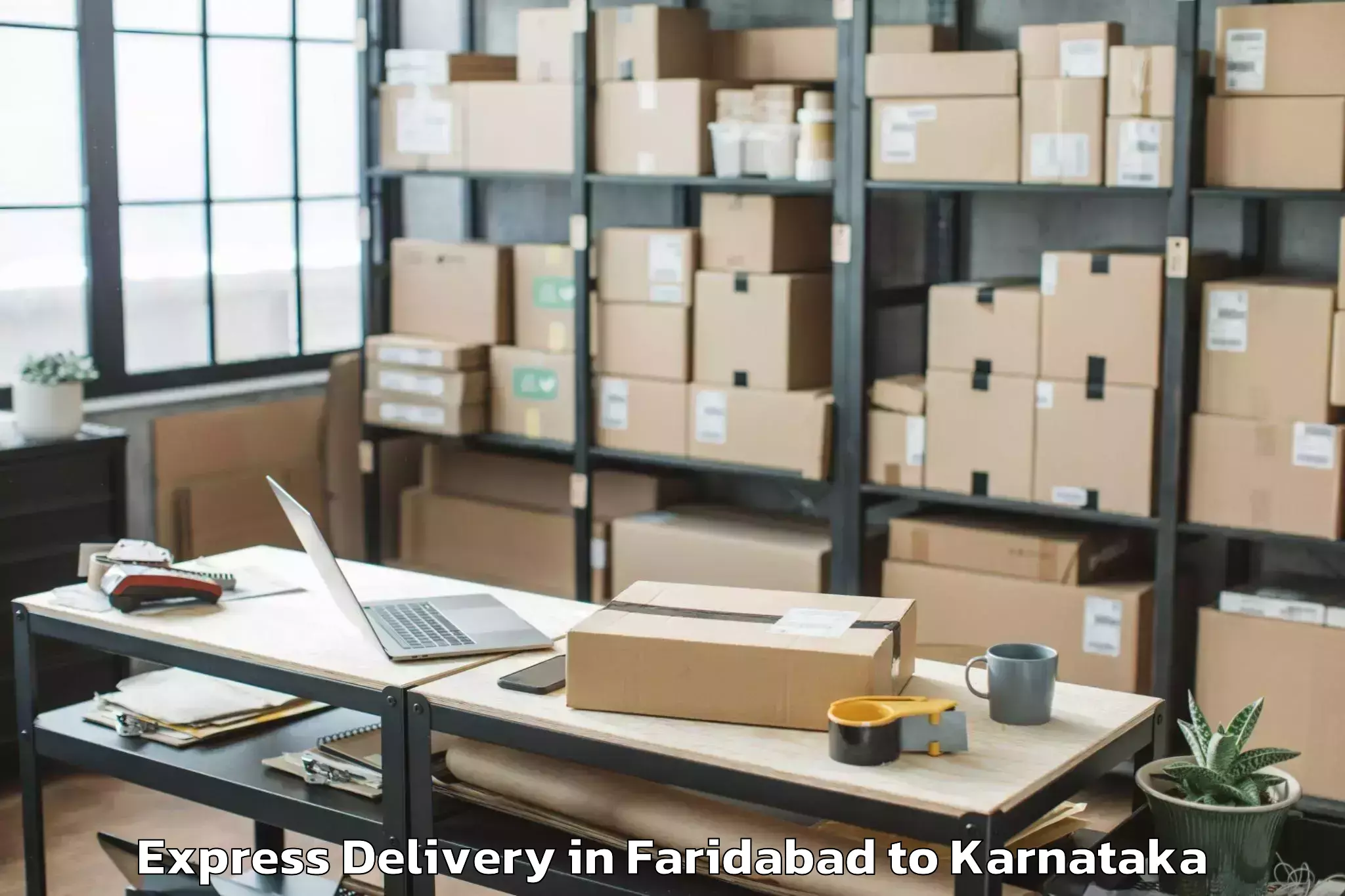 Trusted Faridabad to Kadur Express Delivery